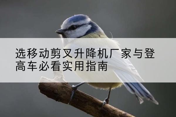 汉寿电动升降机厂家-选移动剪叉升降机厂家与登高车必看实用指南