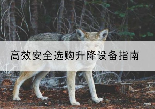 汉寿升降货梯厂家推荐-*安全选购升降设备指南