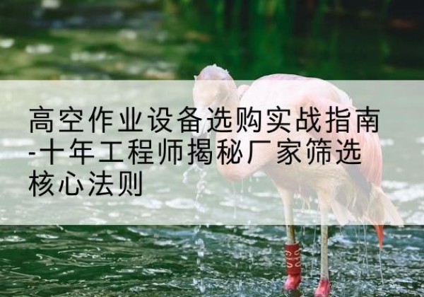 汉寿剪叉式升降机厂家-高空作业设备选购实战指南-十年工程师揭秘厂家筛选核心法则